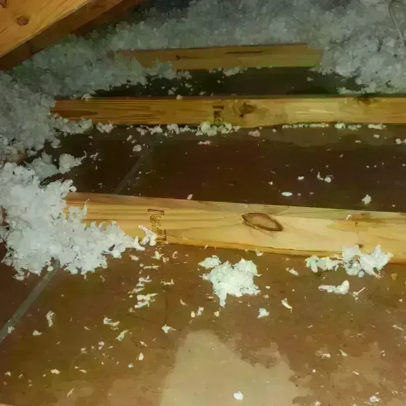 Attic Water Damage in Callaway County, MO