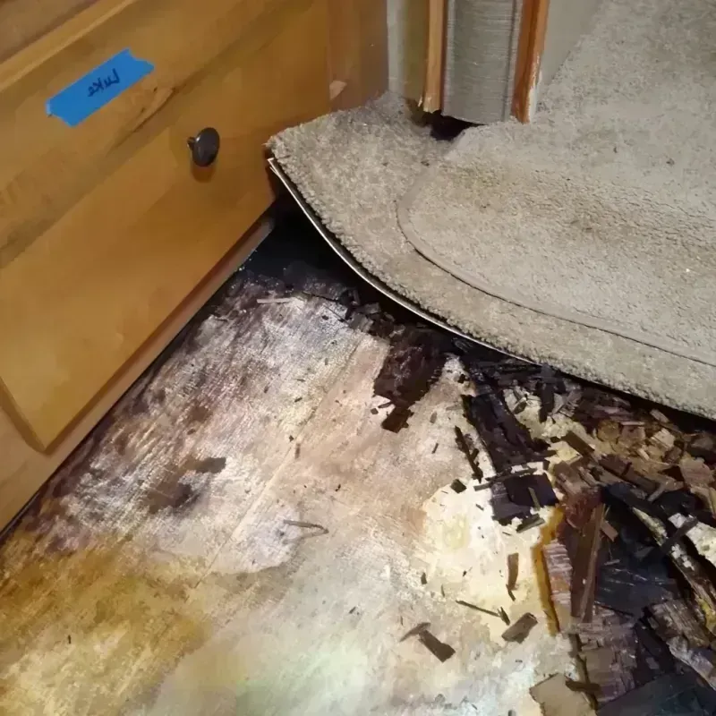 Best Wood Floor Water Damage Service in Callaway County, MO